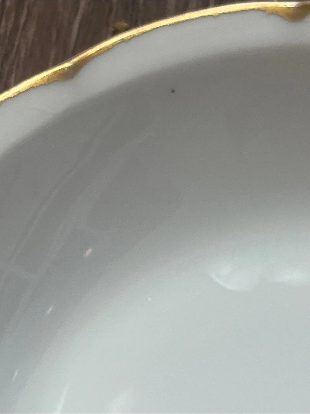 Vintage Classic Victoria Austria White Porcelain Bowl with Gold Rim